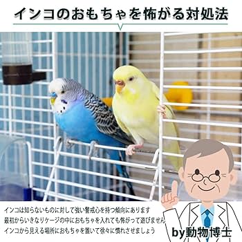 Amazon.co.jp: HIRAISM インコ おもちゃ バードトイ オウム 文鳥