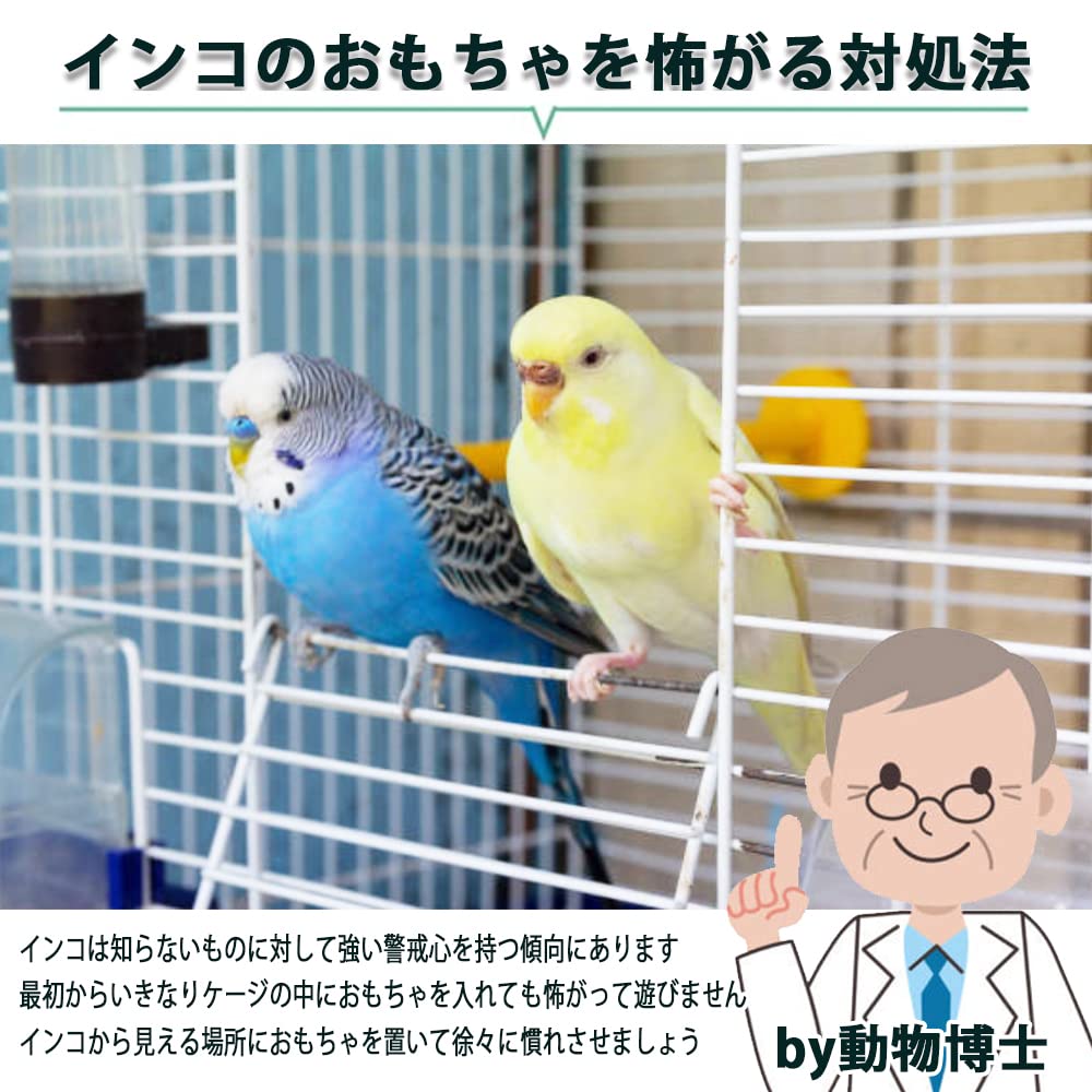 Amazon.co.jp: HIRAISM インコ おもちゃ バードトイ オウム 文鳥