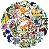 RGBEE Tier Aufkleber 50 Stück, Wasserfeste Vinyl Aesthetic Sticker Set für Laptop, Koffer, Helm, Motorrad, Skateboard, Snowboard, Auto, Fahrrad, Computer, Kawaii Anime Aufkleber Decals