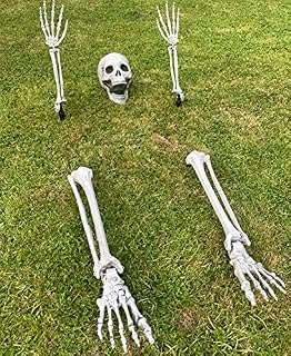 Halloween Skeleton Decorations - Halloween Groundbreaker Plastic Skeleton Plastic Skull Halloween Bones - Skeleton Halloween Decorations Outdoor Skeleton Garden Decorations Graveyard Decorations
