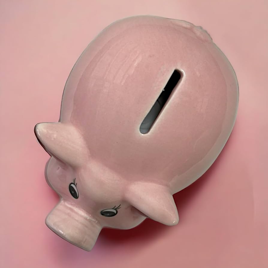 Amazon.com: MIJOMA Ceramic Pink Piggy Bank Cute Design Money