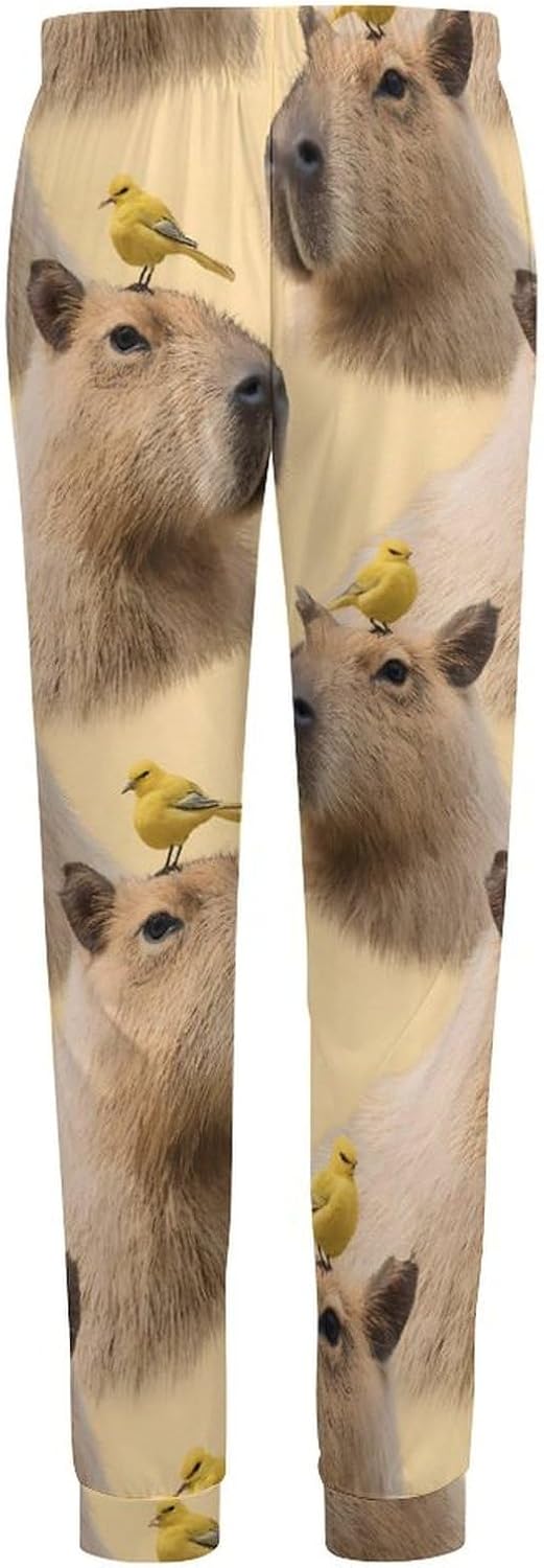 Cute Capybara Bird Mens Pajama Pants Soft Lounge Pants Pj Bottoms with Pockets