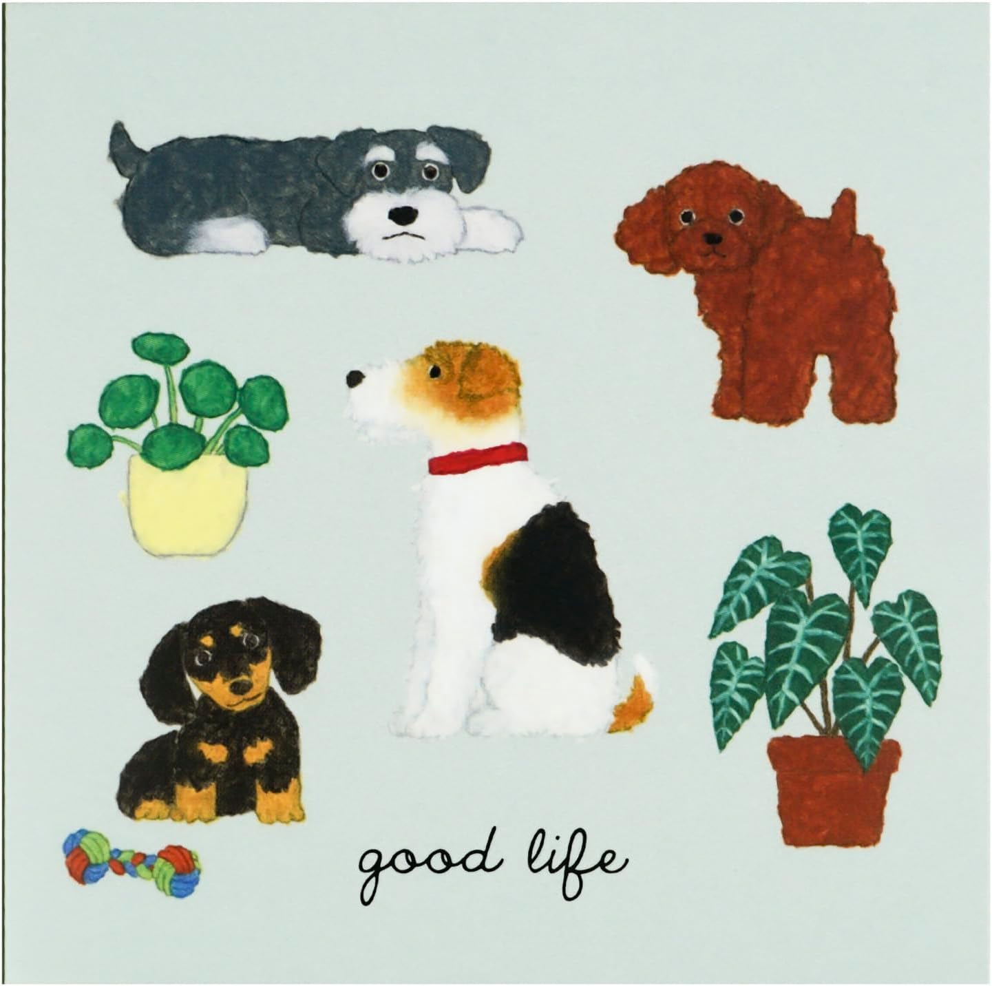 Yusuke YZPG-445 Greeting Life Book-Type Notes Dog