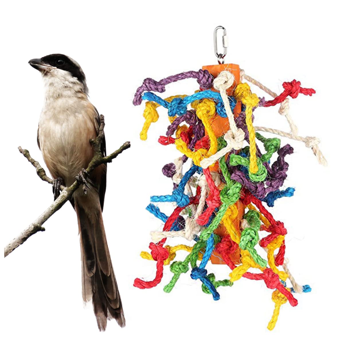Toddmomy 3piezas Juguete para Pájaros De Cuerda Accesorio para Jaula De Periquitos y Juguete Masticable para Estimulación y Entretenimiento De Aves Pequeñas