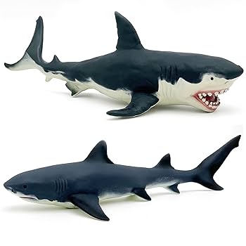 【レア即完売品】H&O SC WING TOP 50 / SHARK サメ レア即完売品】H&O SC WING TOP 50 / SHARK サメ - メルカリ