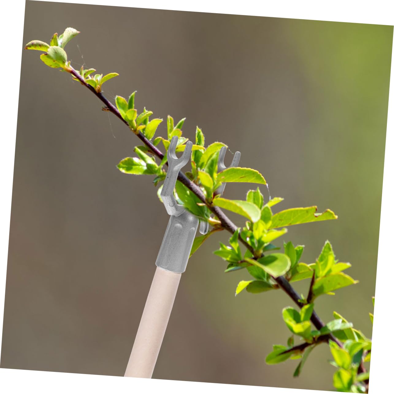 POPETPOP 4 Zestawy Gałąź Wtyczka Drzewo Gałąź Wsparcie Stojak Na Gałąź Drzewa Uchwyt Bonsai Gałąź Bagażnika Wsparcie Stojak Na Drzewo Gałąź Akcesoria Ogrodowe Gałąź Drzewa Stojaki 15 sztuk*4