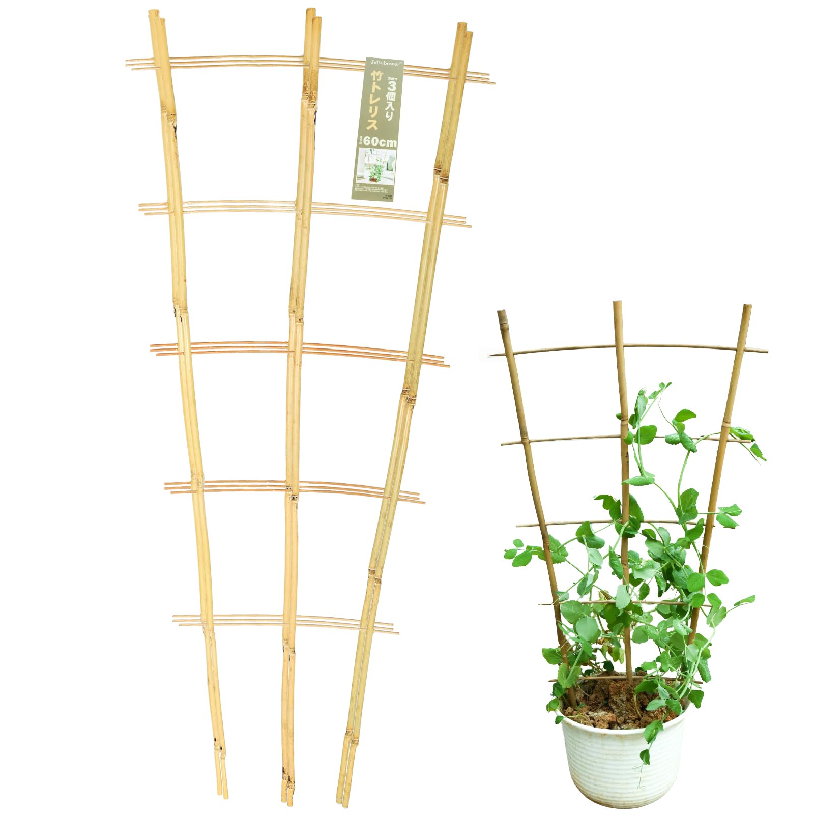 Amazon | Jollybower 3本入りパック支柱 園芸 観葉植物 支柱 屋内.屋外