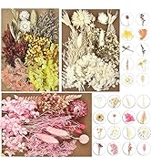 DALARAN 3 Pack Dried Flowers for Candle Making DIY Pressed Dried Flowers Multiple Natural Pressed...