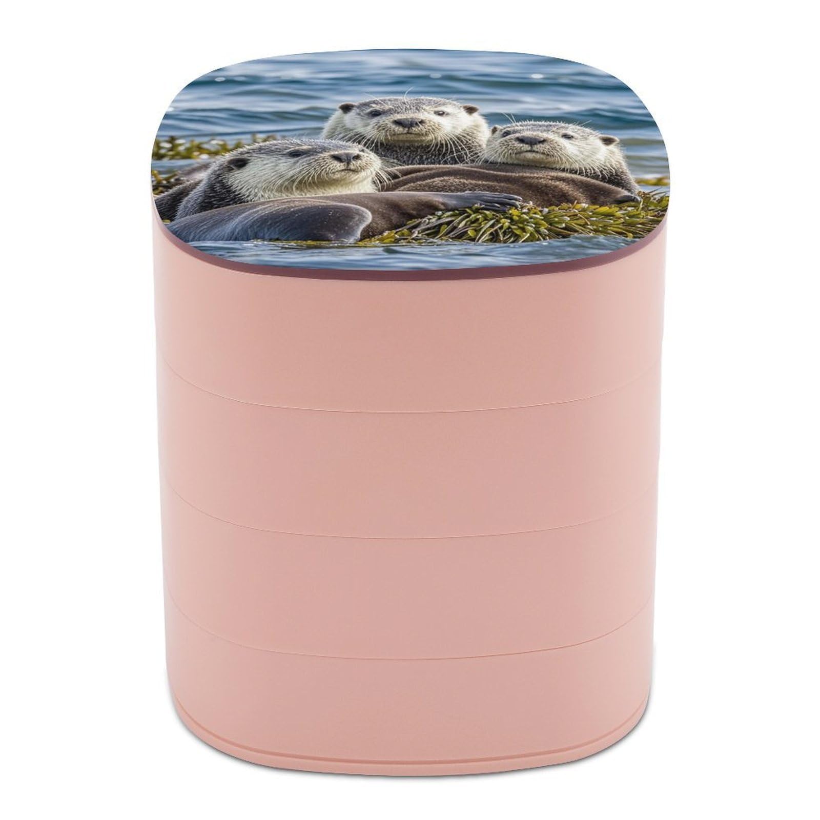 LZQPOEAS Sea Otter Family Jewelry Box with Mirror 4-Layer Rotating Travel Jewelry Case Small Jewelry Organizer Portable Jewelry Storage Box Rings Stud Necklaces Earring Holder for Women