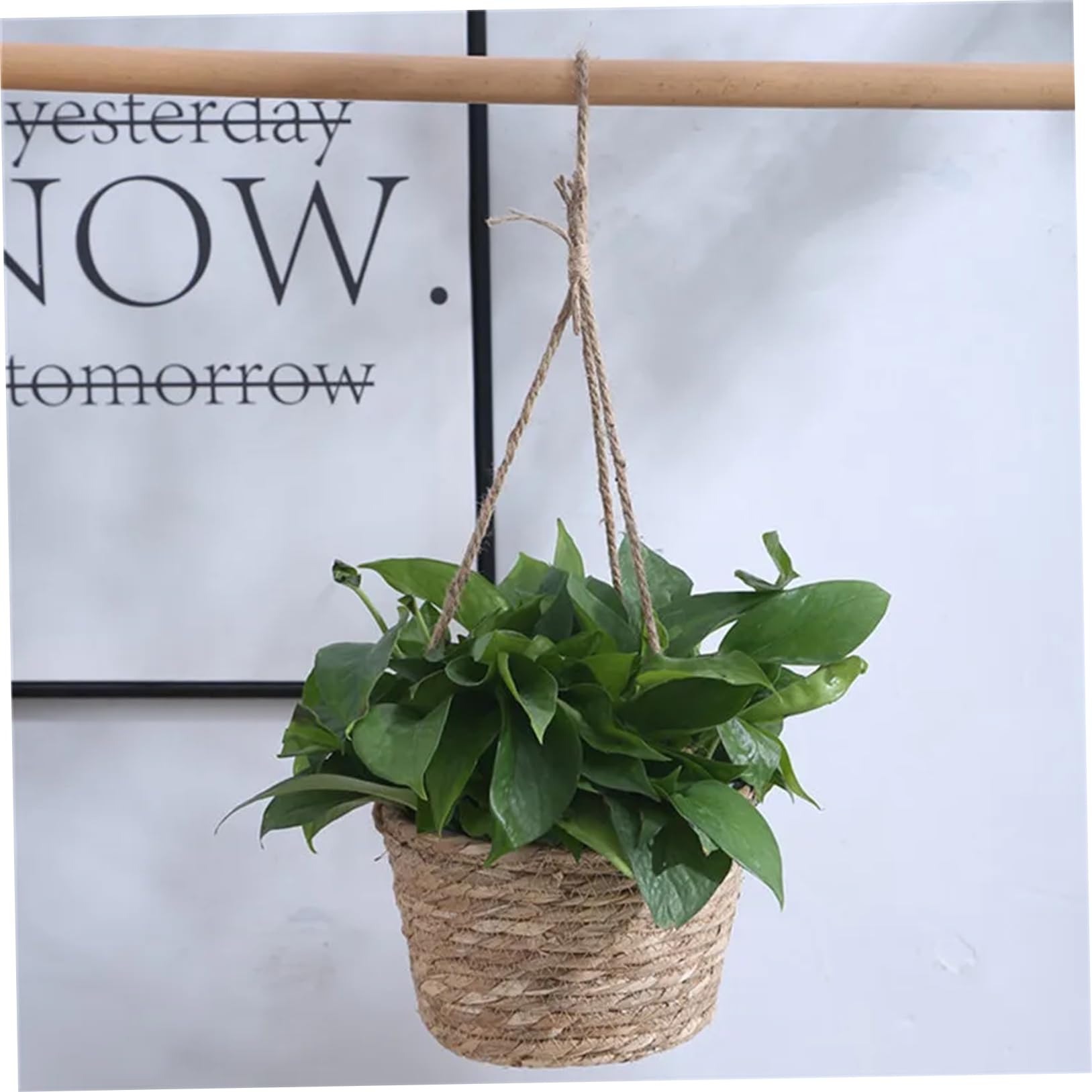 Cesta colgante de plantas de 3 piezas, cesta colgante de mimbre de 8x5 pulgadas para plantas, macetero tejido de interior con cuerda, de macetas rústicas bohemias para interiores, hogar y ofi