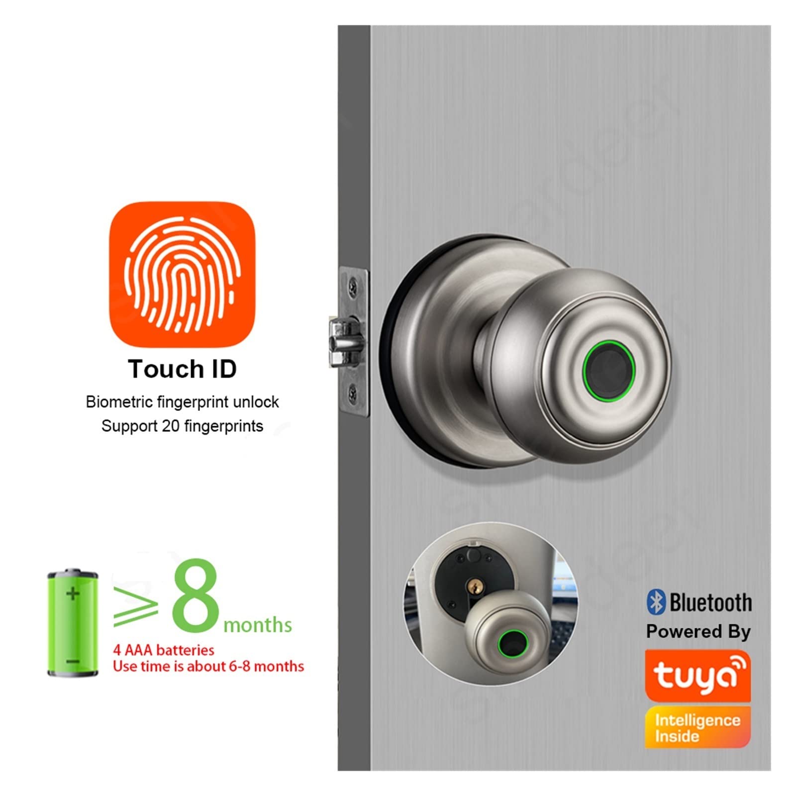 Smart Lock, Blokada linii papilarnych do inteligentnego zamka Tuya Bezkluczykowy dostęp Biometryczny odcisk palca typu C i mechaniczne odblokowanie klucza,do sypialni, biur i hoteli(Silvery)