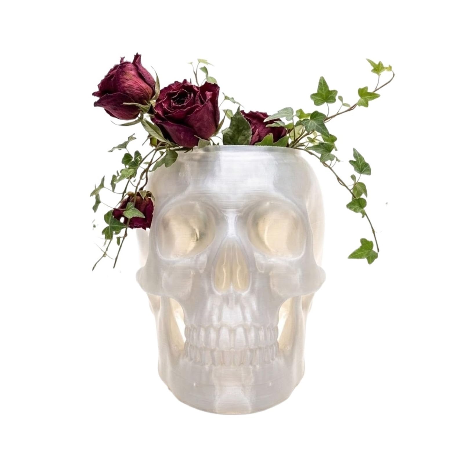 Gothic Skull Wall Vase Translucent Skeleton Head Flower Pot Planter