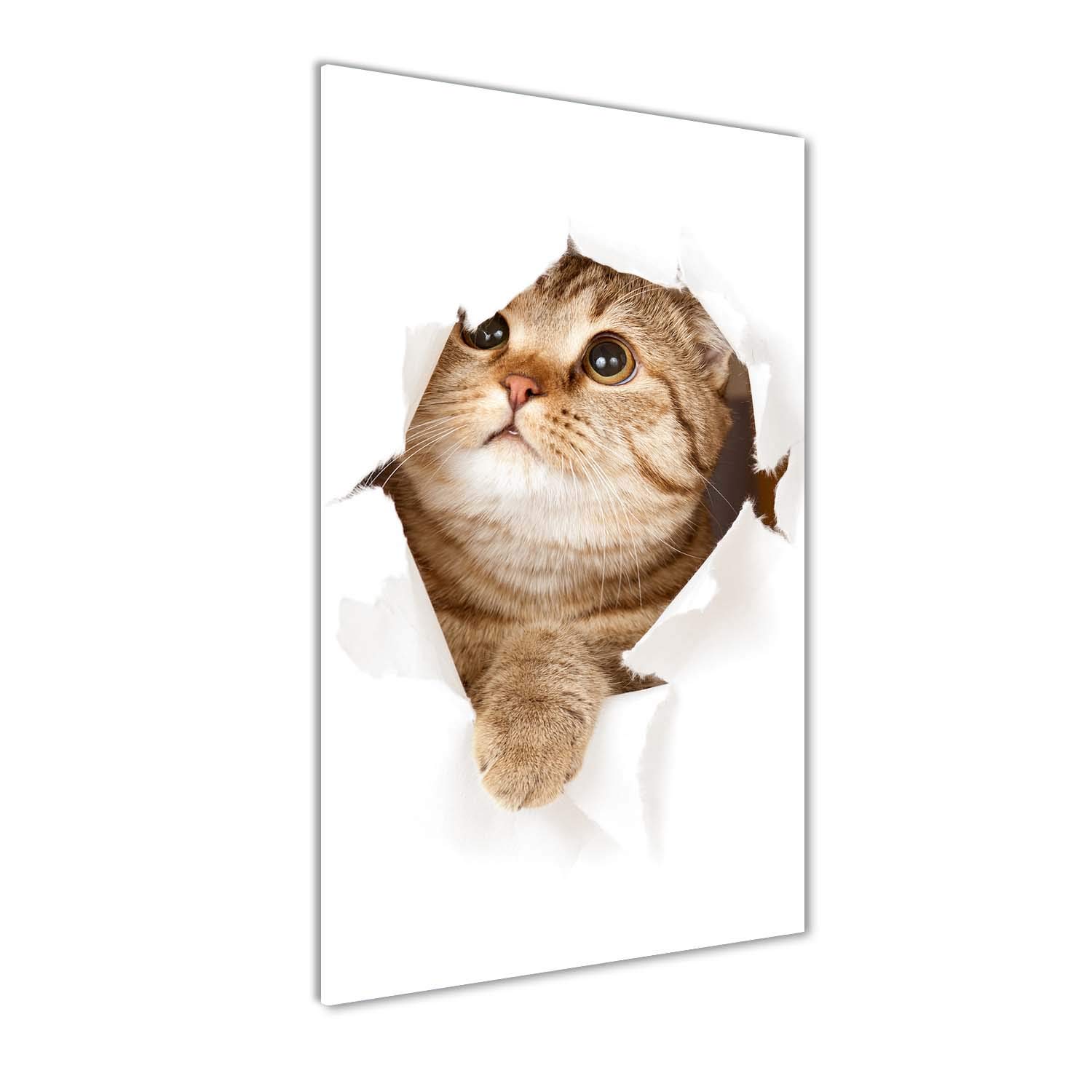 Crédence de cuisine en verre trempé 70x140 cm beige avec motif chat Tulup