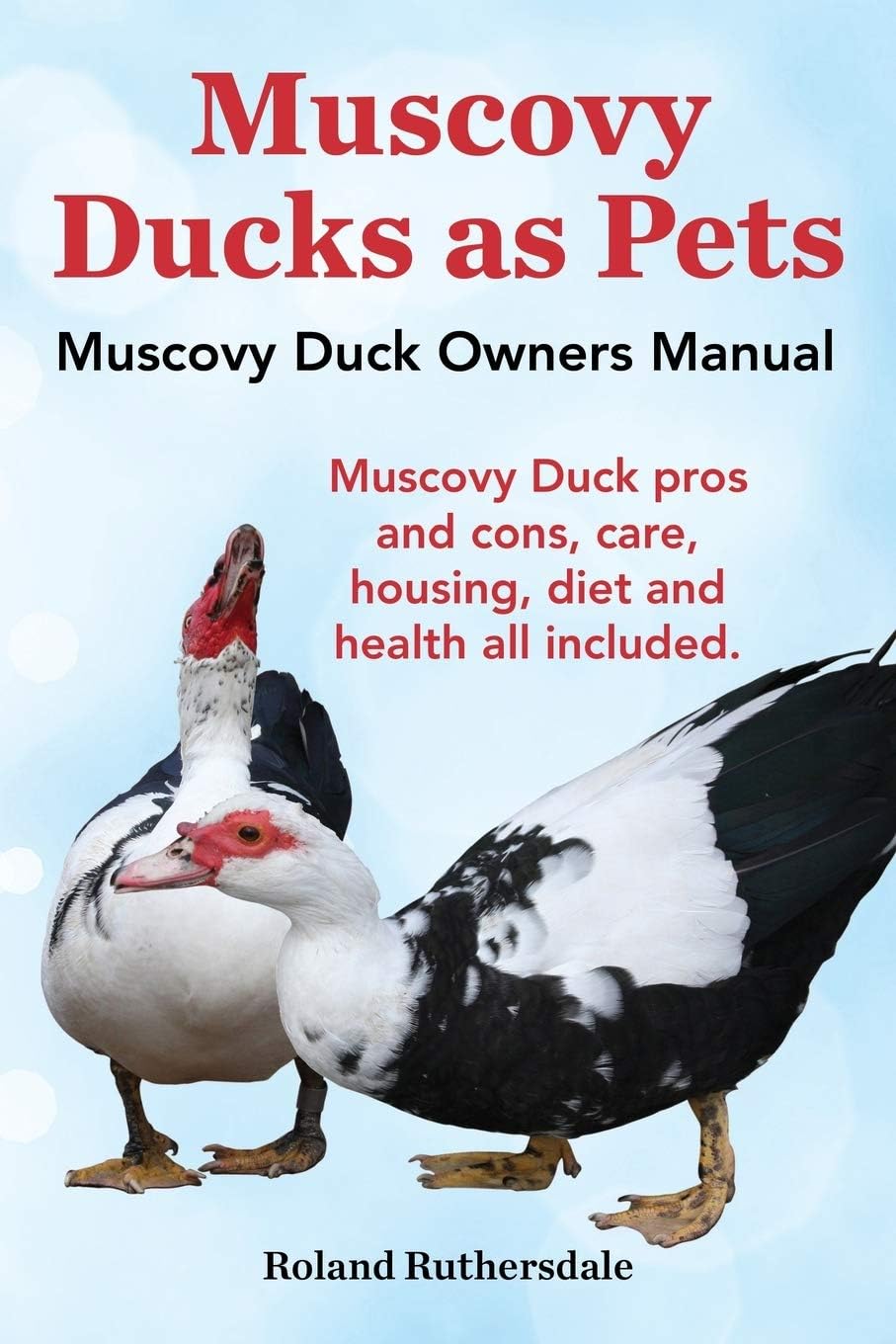 - Muscovy Ducks as Pets