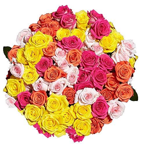 100 Assorted Color Roses- Next Day Delivery By Tuesday April 25Th- Fresh Cut Flowers #TOP5