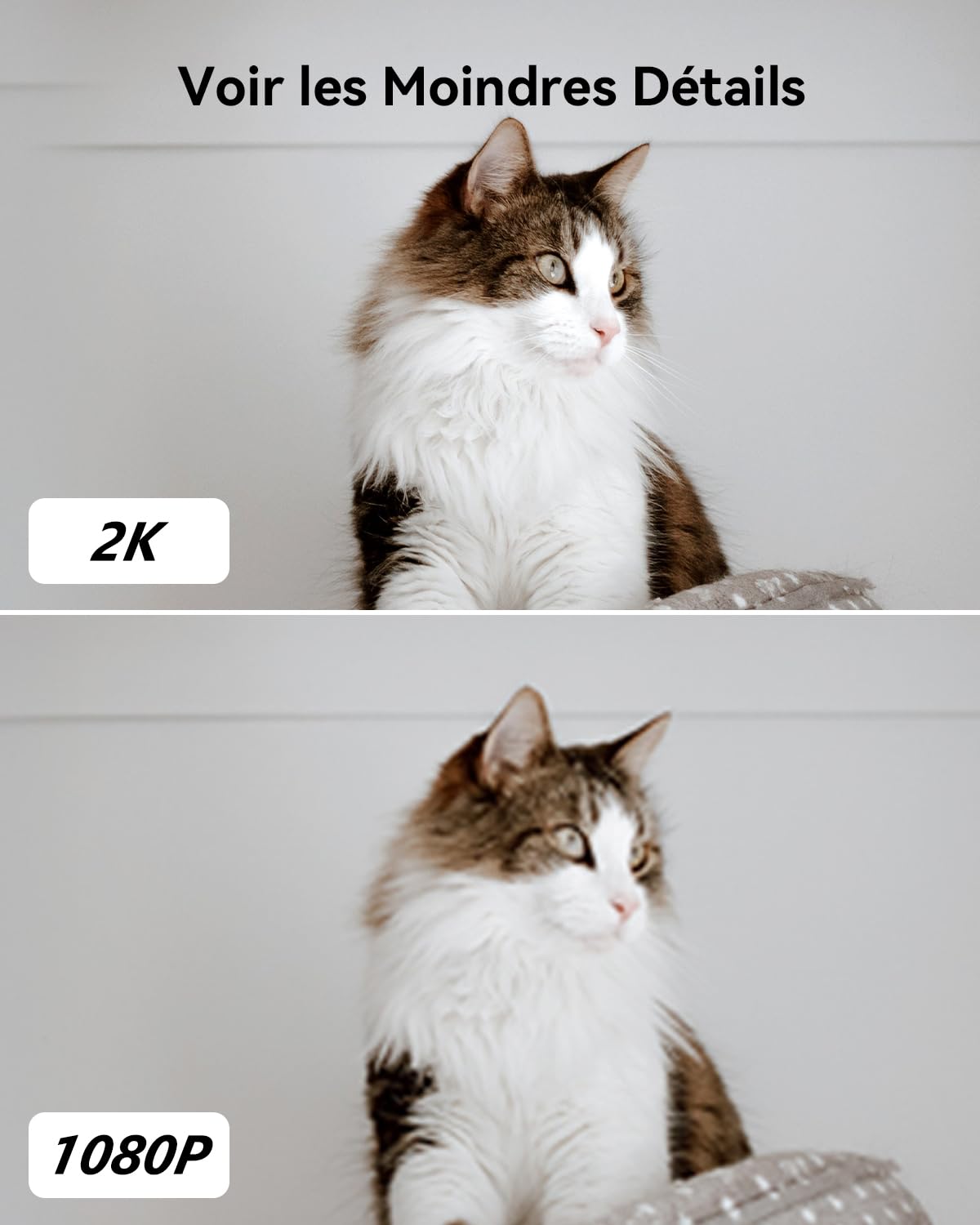 Imou 2K(3MP) Caméra Intérieure 360°+ Carte Micro SD 64Go - Kit Surveillance Bébé/Animaux avec Détection IA, Suivi Auto, Audio Bidirectionnel