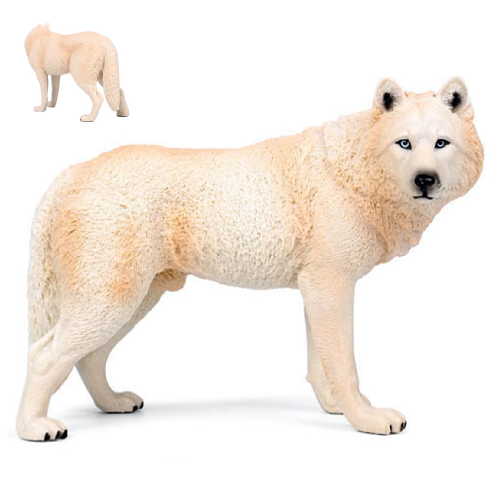 Modèle animal loup beige haute simulation figurine faune sauvage - 8