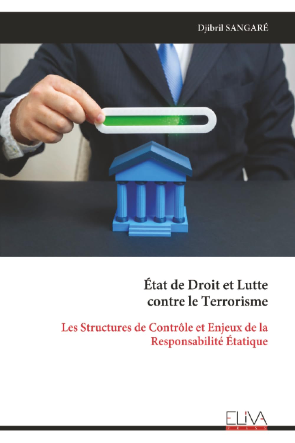 État de Droit et Lutte contre le Terrorisme: Les Structures de Contrôle et Enjeux de la Responsabilité Étatique