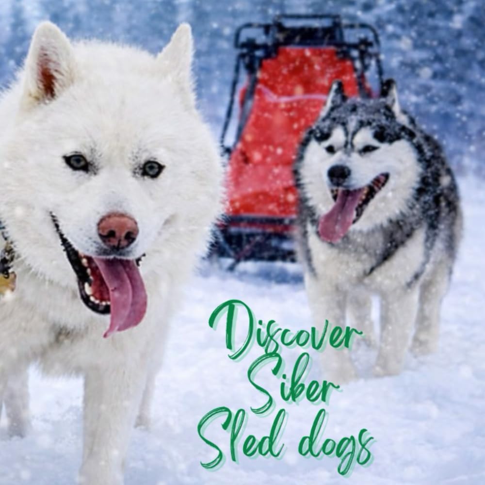 Discover Siber Sled Dogs: Siber Sled Dogs      Paperback – Large Print, December 12, 2025