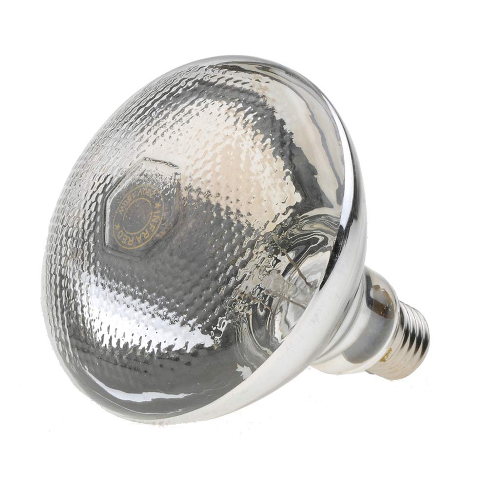 Lampada per Scaldavivande, Retrattile Lampada Termica Cilindrica per Bistecca Buffet, Eccezionale Attrezzature per Cucina e Ristoranti, Gamma Telescopica: 75-165cm