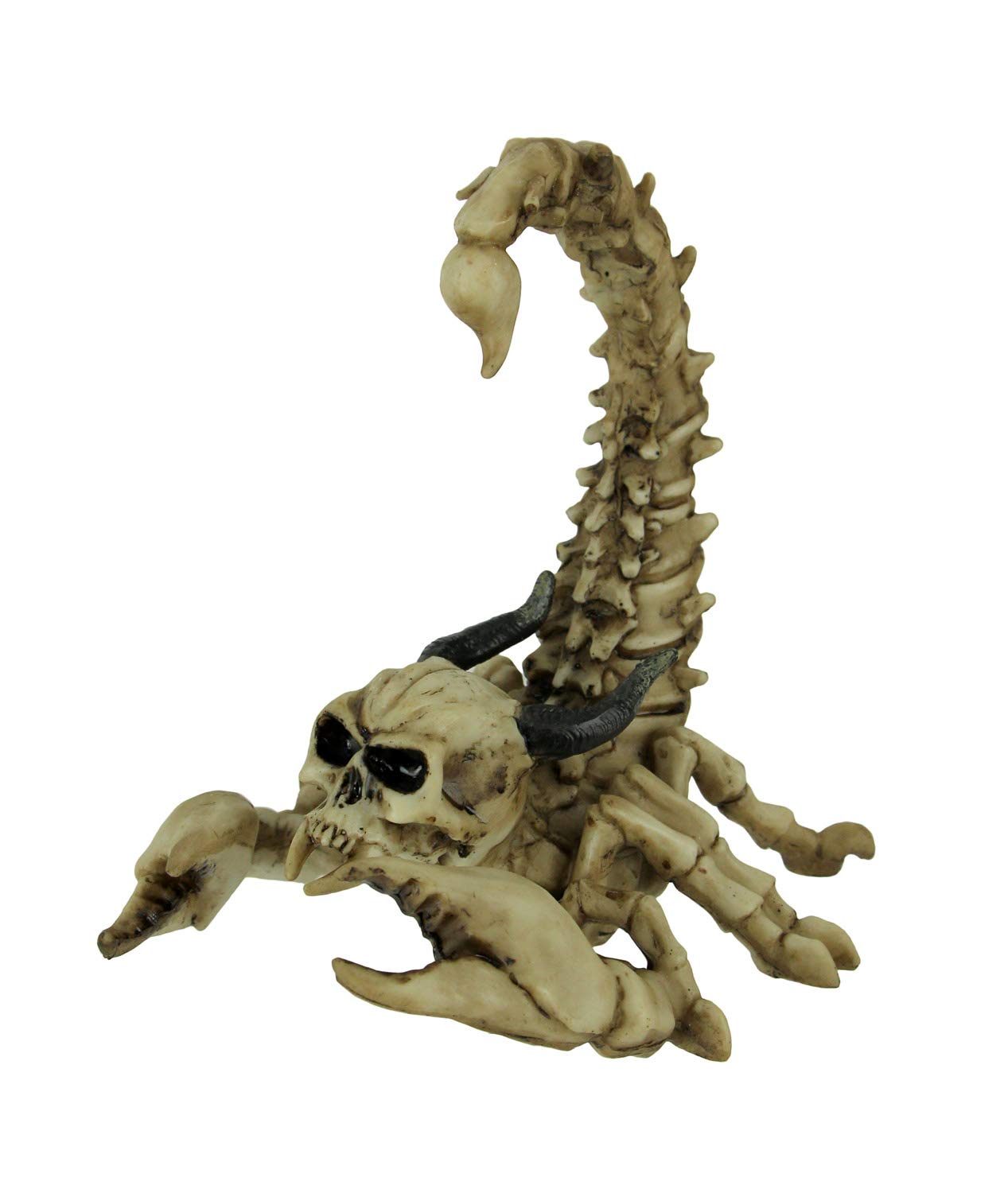 Everspring Import Company Scorpion Skeleton with Skull Figurine New