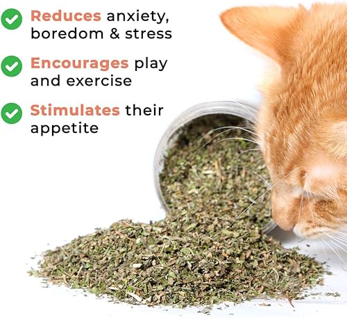 Miniatura 4 de Whiskertons Hurrb Hierba gatera para gatos y gatitos, 100% naturales y seguras golosinas de hierba gatera utilizada para juguetes y accesorios