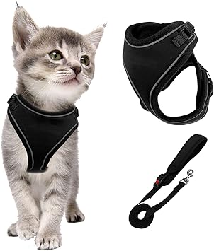 Amazon Mudinpet 猫 ハーネス リード 猫用 胴輪 散歩 脱走防止 抜けない 子猫 ハーネス セットサイズ調節可能 通気いい お出かけ 軽量 夜反射 Mudinpet ハーネス 通販