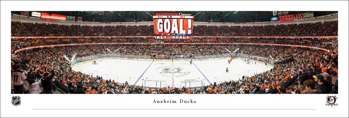 Anaheim Ducks - Unframed Poster by Blakeway Panoramas (40"W x 13.5"H)