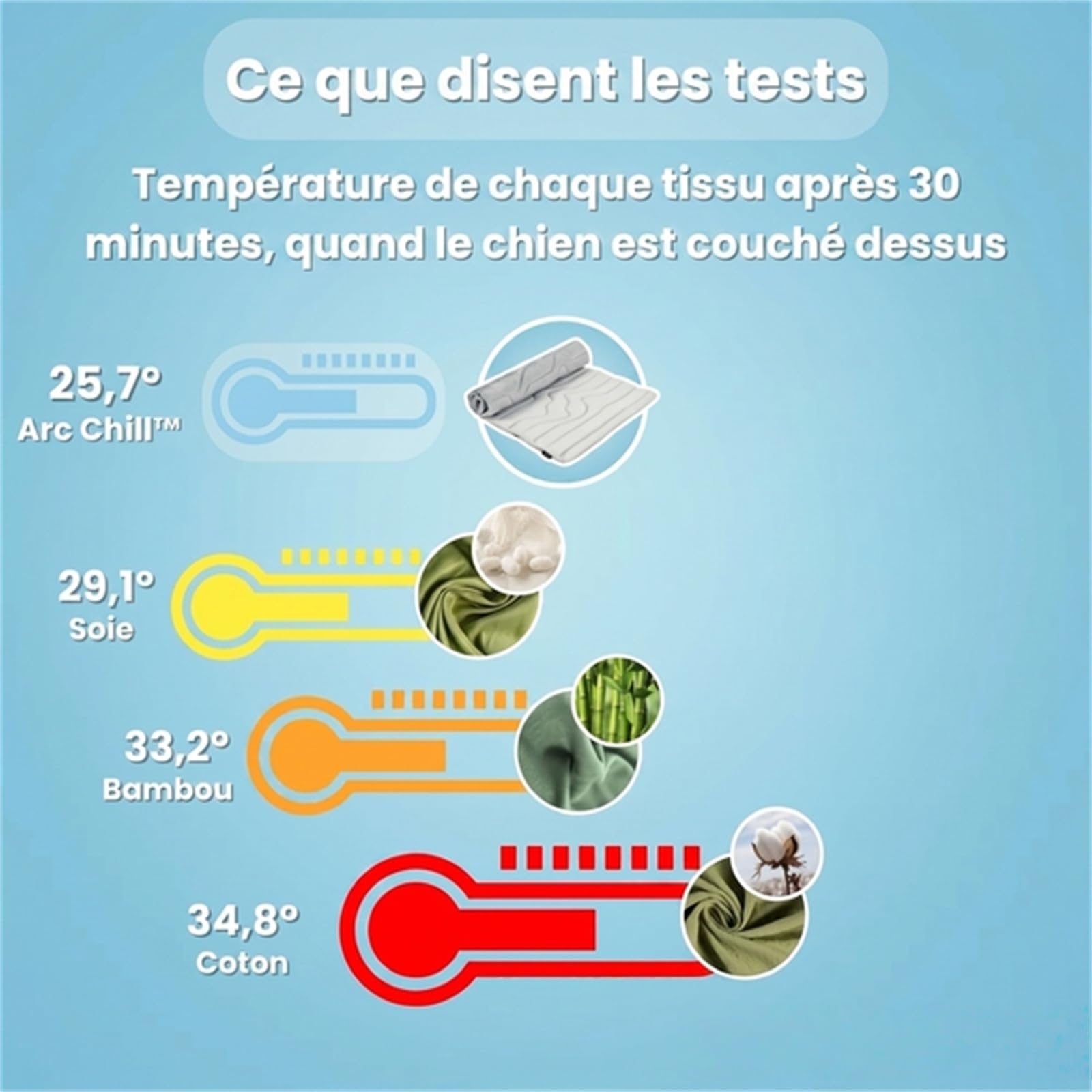 Pawfroste Tapis Fraîcheur Lavable Respirant pour Chien