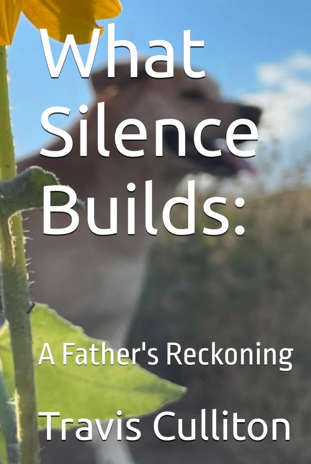 What Silence Builds:: A Father's Reckoning