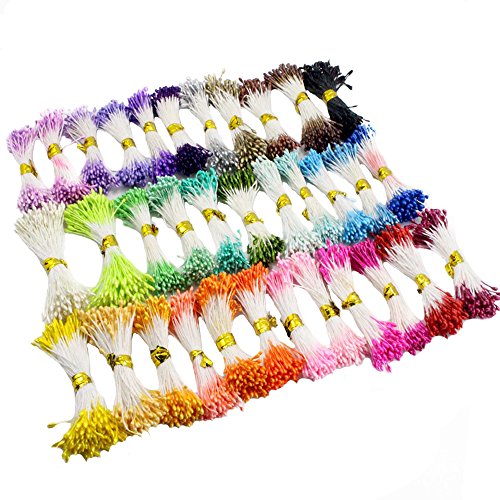 Sorrento Crafts 900pcs/lot Multicolor 1mm Double Heads DIY Pearl Flower Stamen Pistil Cake Craft Wedding Home Decoration(Color 1)