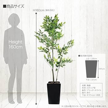 フェイクグリーン 大型 リアルタッチ フィカスツリー 160cm 黒鉢 陶器鉢 SC/CT触媒加工済[sg-1015sc]