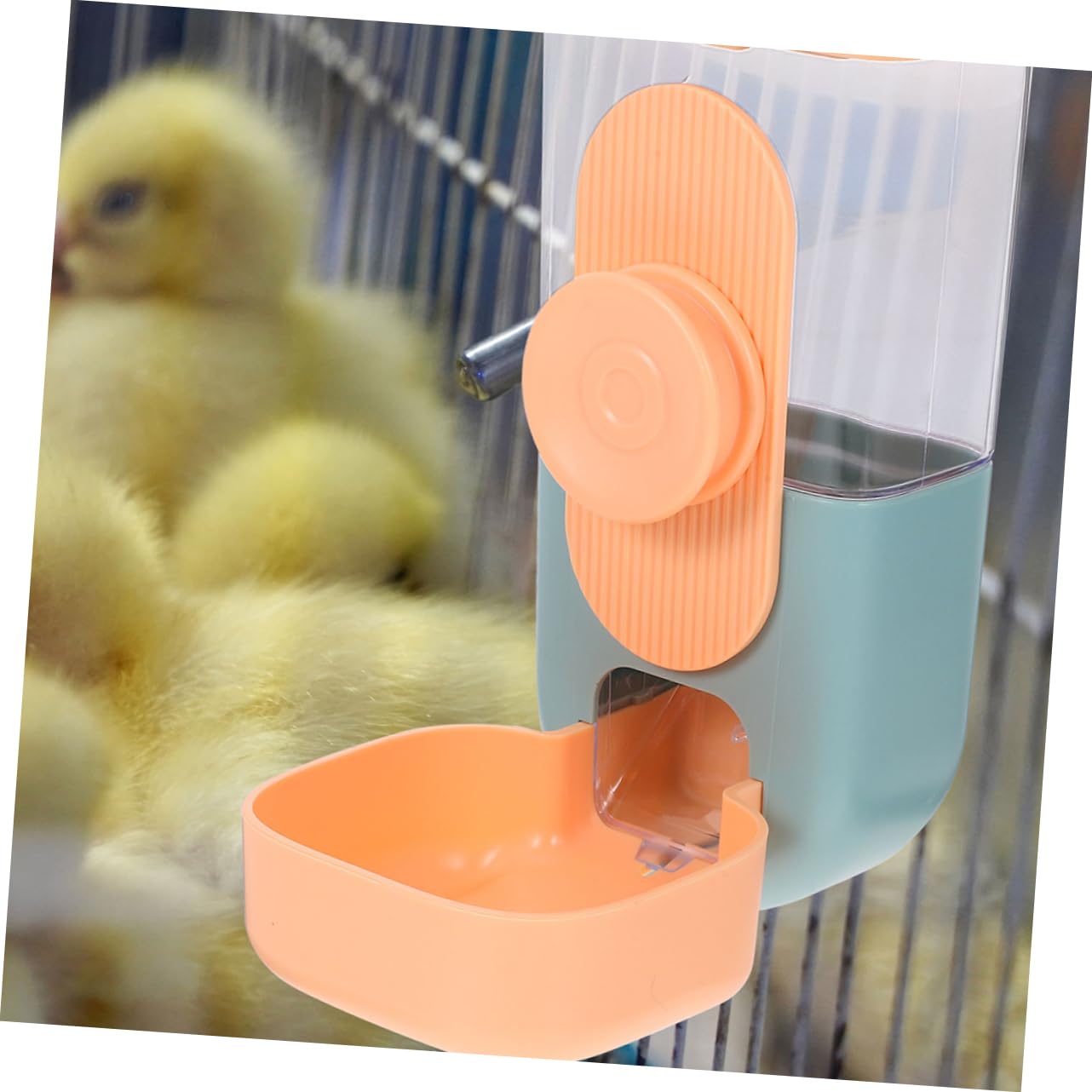 Distributore Automatico di Cibo e Acqua Sospeso in Plastica 2 Pezzi | Cavia, Erogazione Automatica Quotidiana, Design Appeso Versatile, Uso per Pet Piccoli