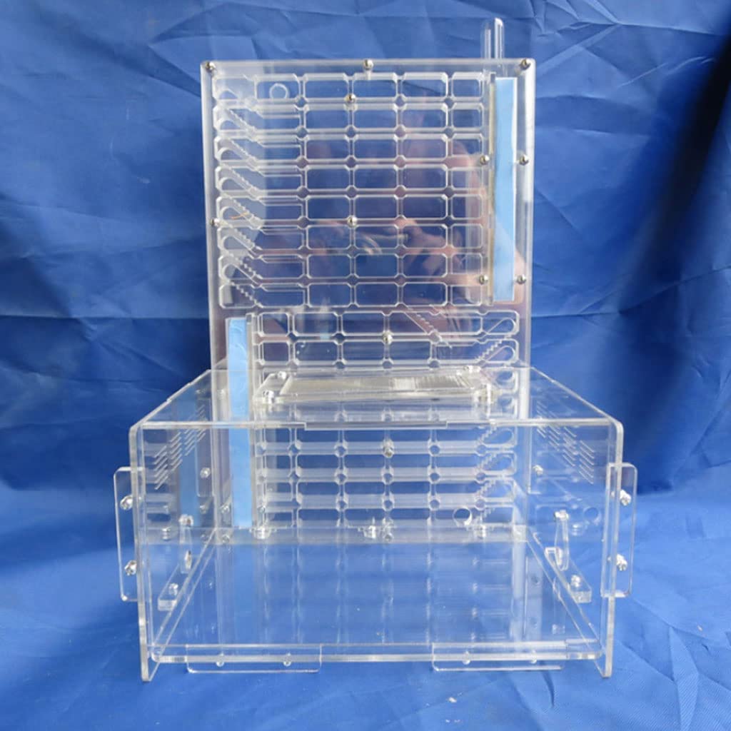 Hormiguero, Hormiguero expandible de acrílico Transparente con área Actividades y Doble Torre Agua 22,5 x 20,3 30,2 Pulgadas