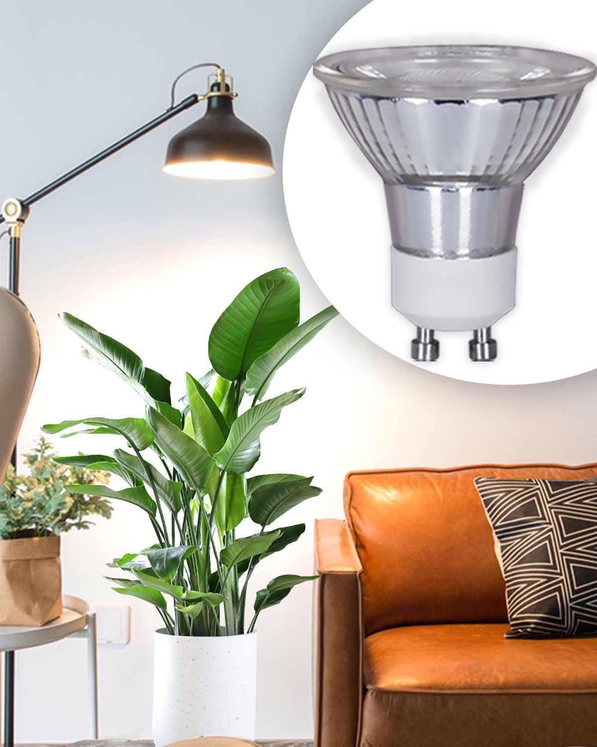 Amazon.com : DOMMIA Grow Light, Full Spectrum GU10 Grow Light Bulb, 5W 110V  PAR16 LED Plant Light Bulb for Indoor Plants, Neutral White 4000K, 1-Count  : Patio, Lawn & Garden