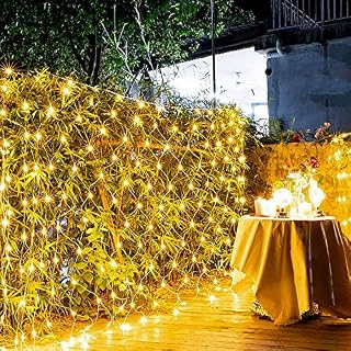 SAILUN LED Net Lights 3m x 2m Christmas Net Lights 250 LED Mains Powered Outdoor Decorations 8 Modes Fairy String Lights Waterproof Net Curtain Light for Party (Warm White)