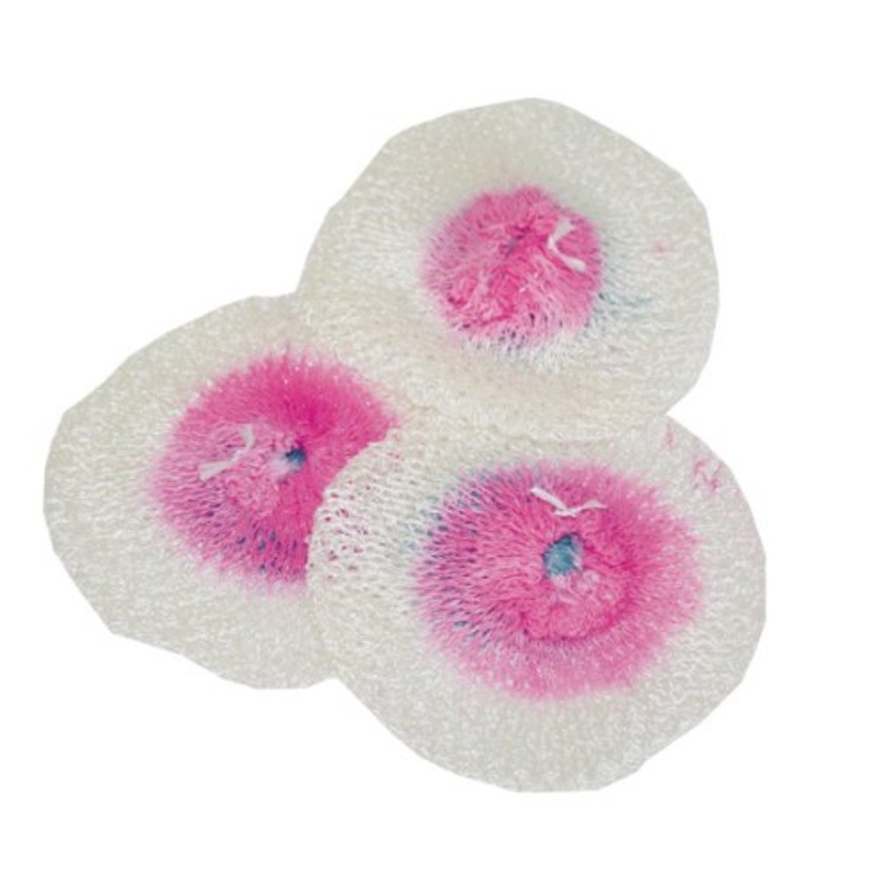 Amazon.co.jp: CAMPINGAZ(キャンピングガス) マントル シンフォニー型