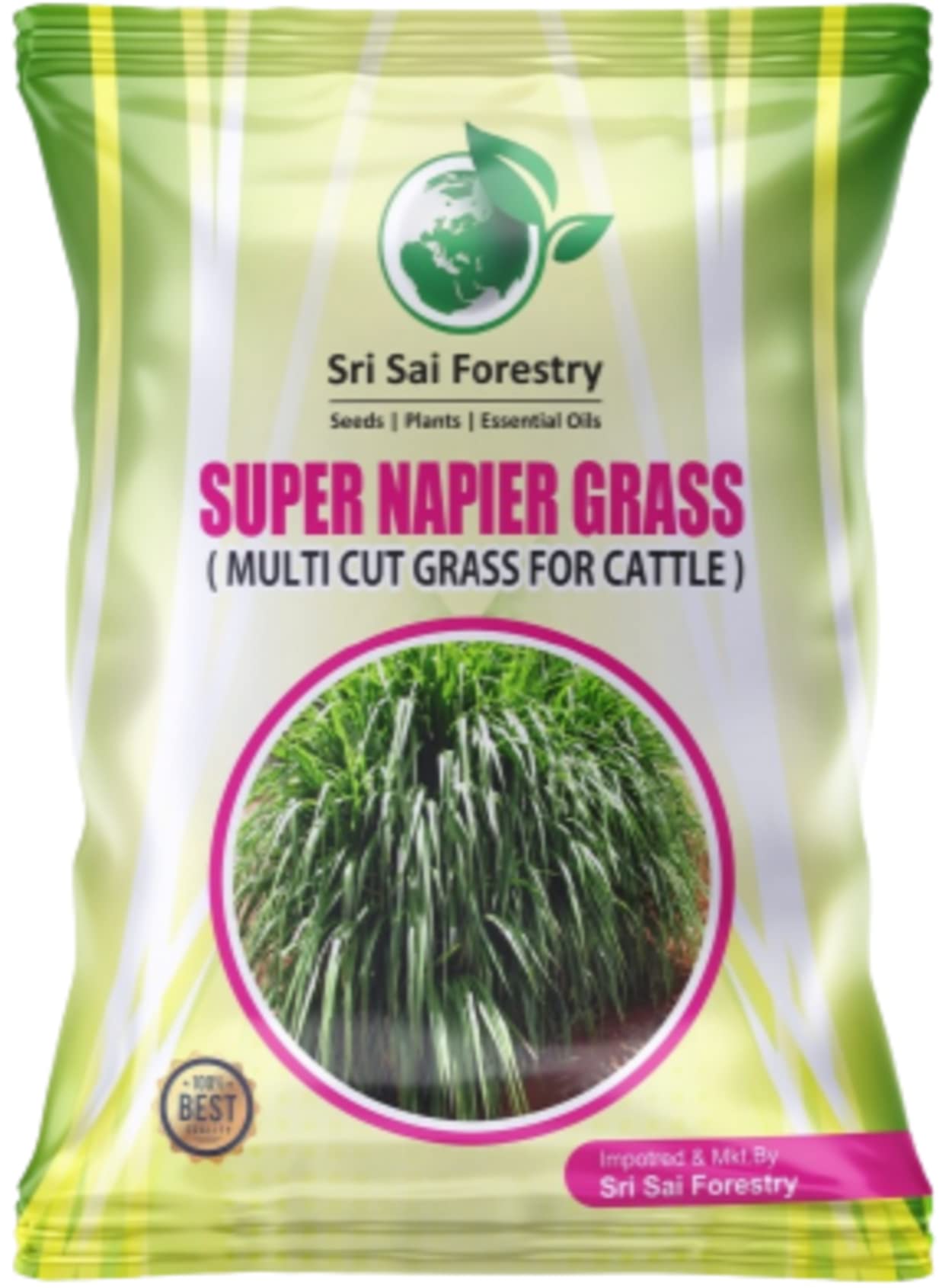 SRI SAI FORESTRY Super Napier Grass Seeds for Cattle 1 KG | Multi Cut Grass Seed for Animal Fodder (B0BW4N7GR6) Amazon Price History, Amazon Price Tracker