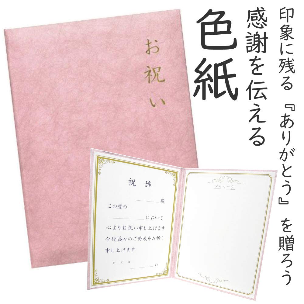 書　お祝い品 命名紙 DX TDX1000 命名軸 掛け軸 命名書 名前 記念品 子供