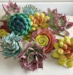 Hand Dyed Sola Wood Succulent Assortment - 12 in a Set