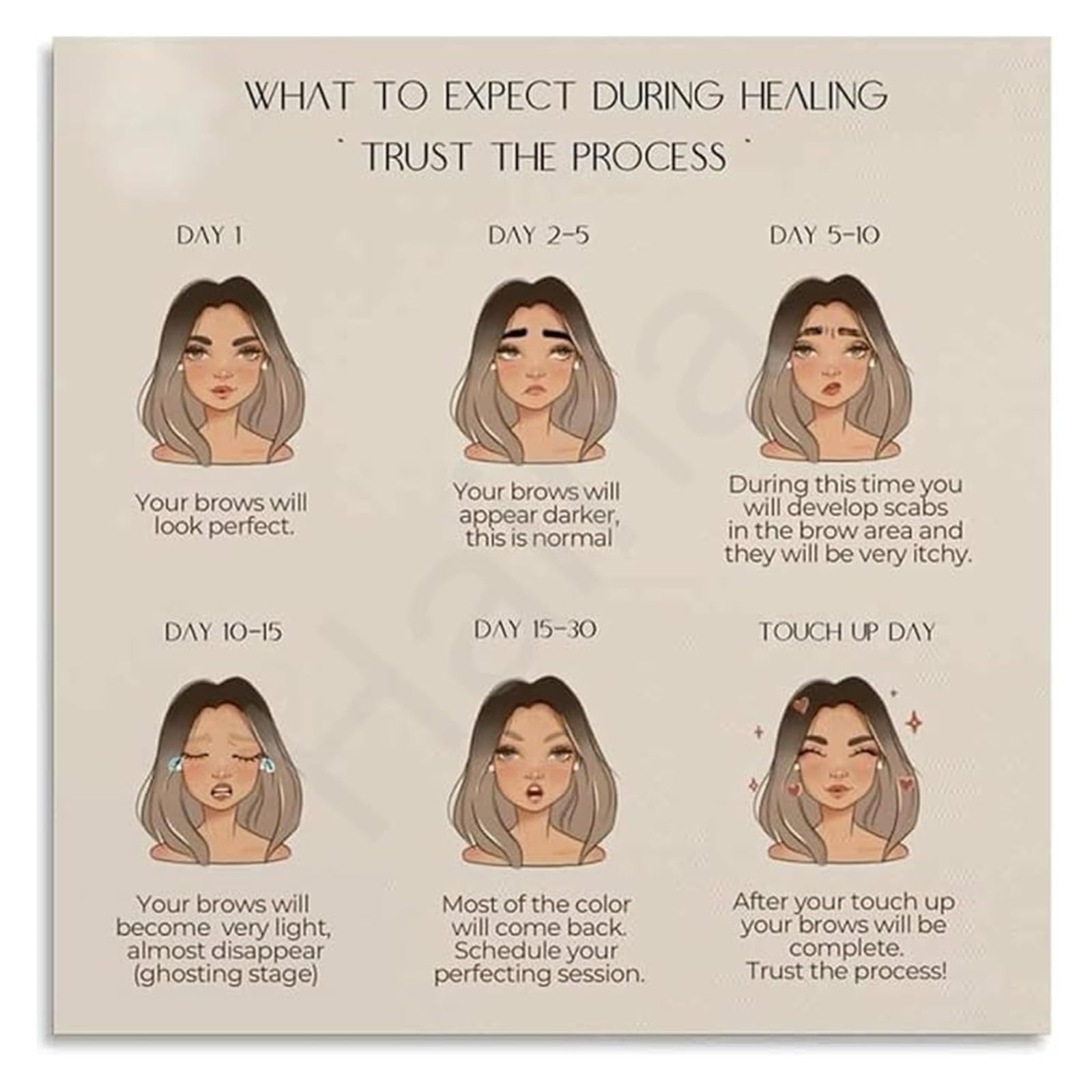 QMKADFQXF Eyebrow PMU Aftercare Guide Poster Canvas Wall-Art for Microblading Studio Room(Unframed,12x18inch(30x45cm))