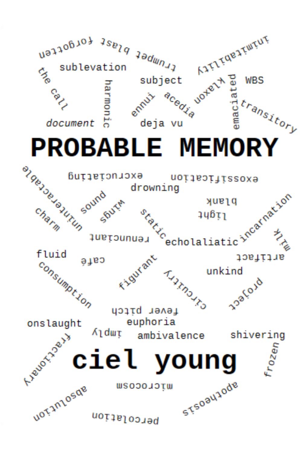 PROBABLE MEMORY: a novel