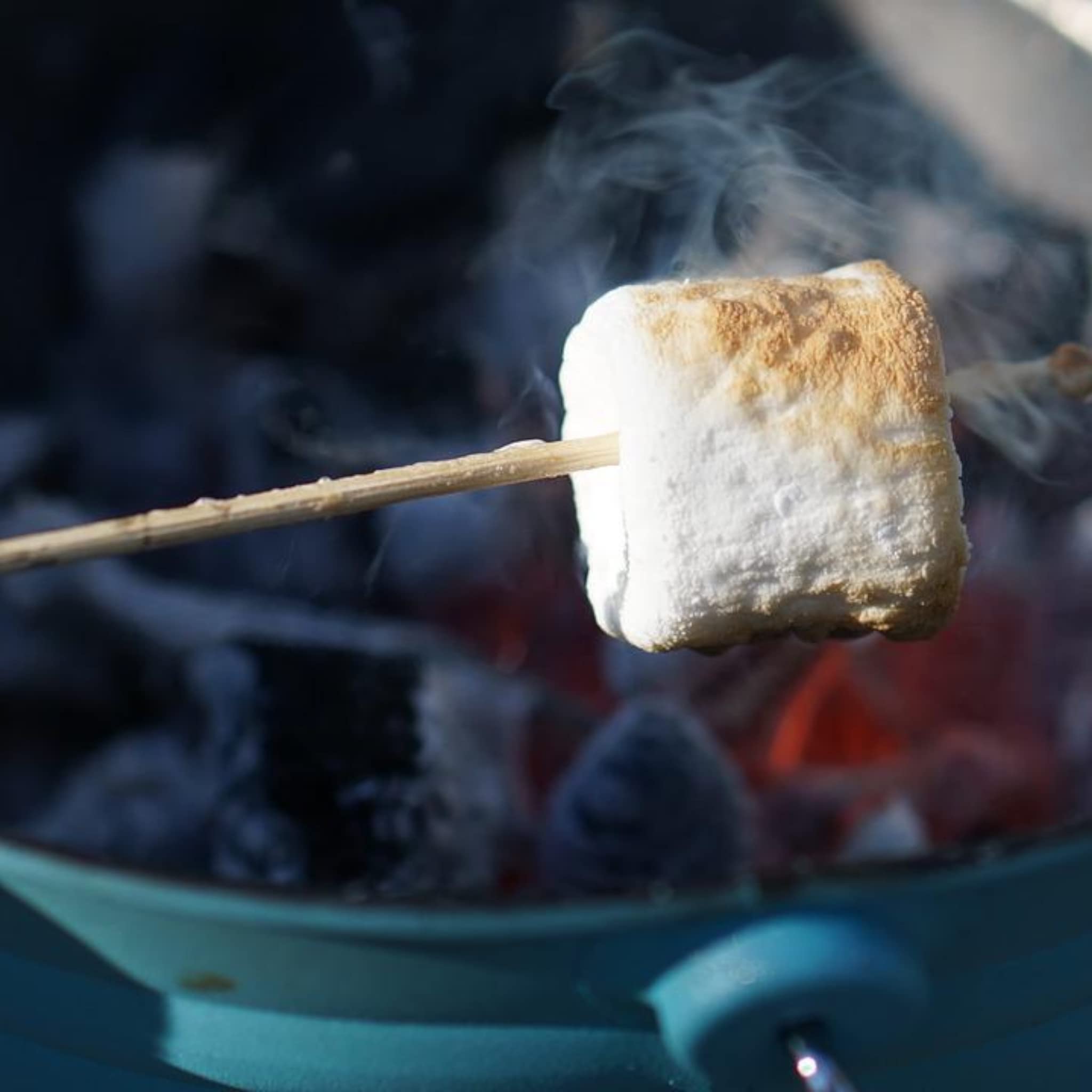 BBQ Marshmallows – Barbecue uczta na słodycze – puszyste, beztłuszczowe i bezglutenowe – cukierek piankowy do przeżyć przy ognisku, worek 300 g z 6 drewnianymi patyczkami – czekoladowe fondue lub
