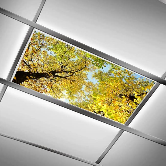 DIQISHIZHU Fluorescent Light Covers for Classroom Office