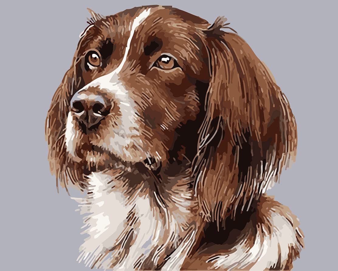 Paint by Numbers for Adult DIY Oil Paint by Numbers Kit for Kid Adult Beginner Brown White Springer Spaniel Dog 24x30 Inch (Frameless)