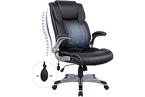COLAMY Executive Ergonomic Office Chair with Lumbar Support