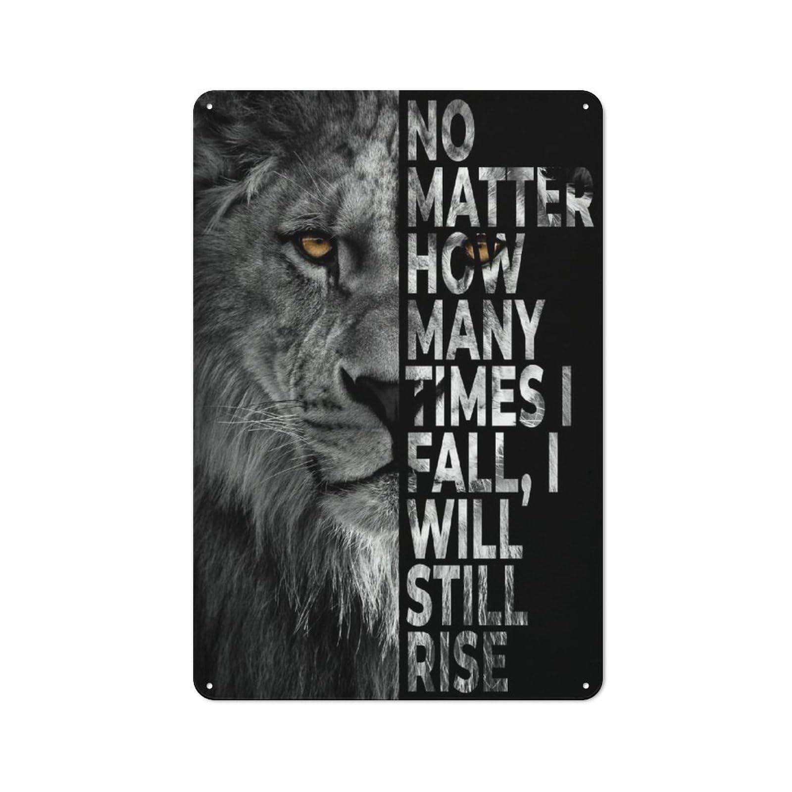 Junmoney Style-5 Vintage Metal Plaque 30X20cm Featuring I Will Rise For Hallway Wall, For Wall Display Collectors
