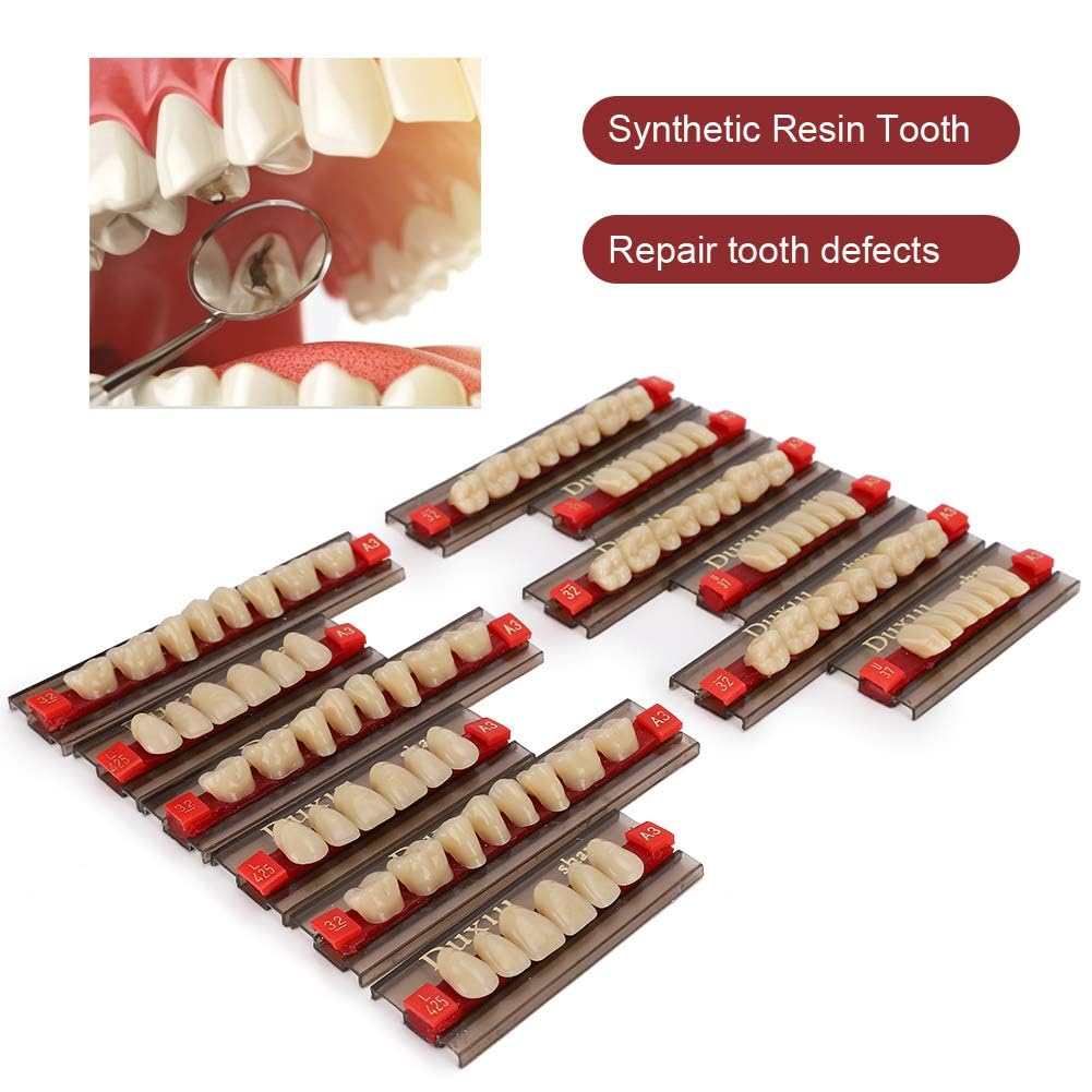 Denti in Resina Sintetica Acrilica per Protesi Dentale, Modelli Dentali, Forniture per Dentisti