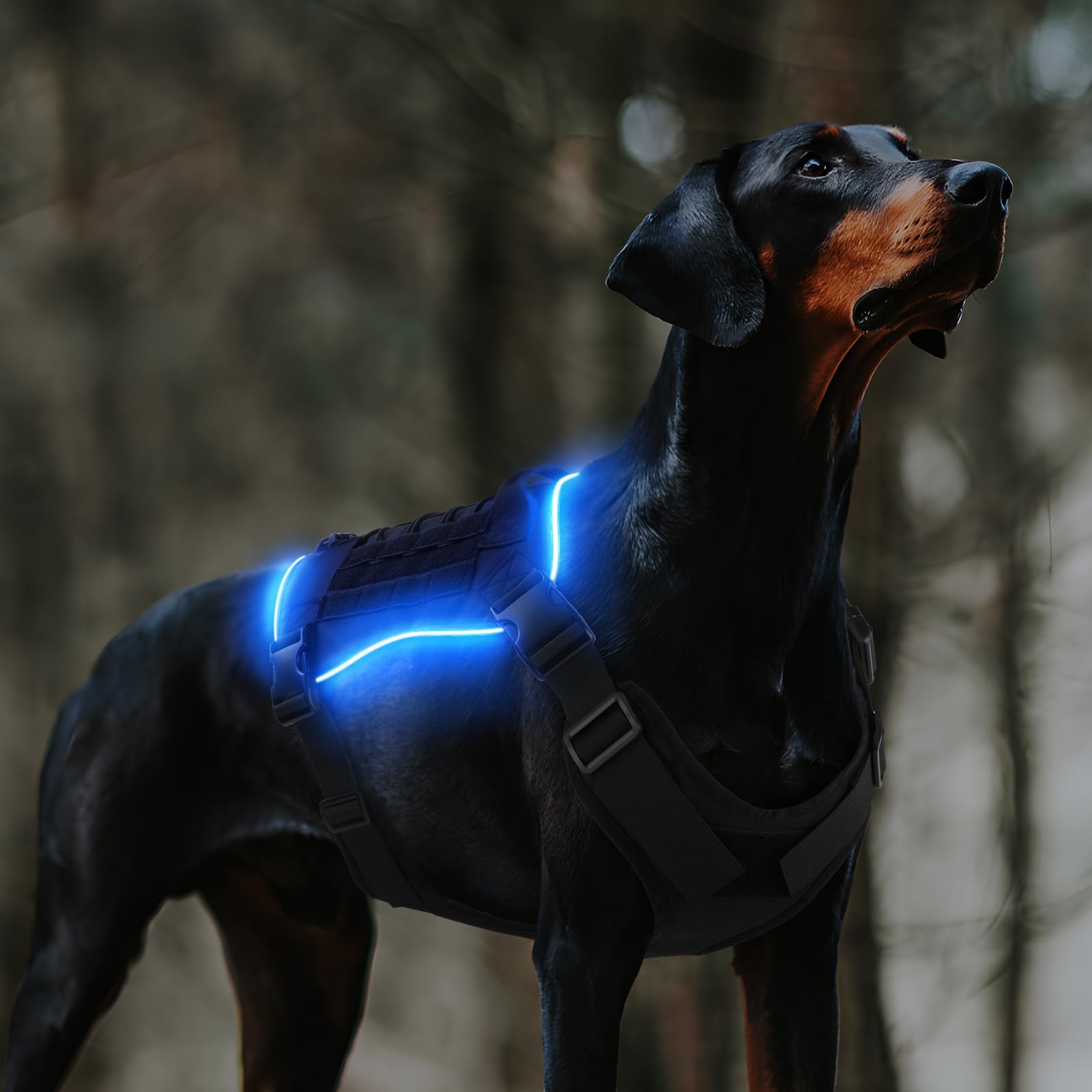 PcEoTllar Light Up Dog Harness, Rechargeable Lighted Tactical Dog Harness, RGB LED Dog Harness, Outdoor Adjustable Dog Vest, for Night Walking, Hiking,Training, S