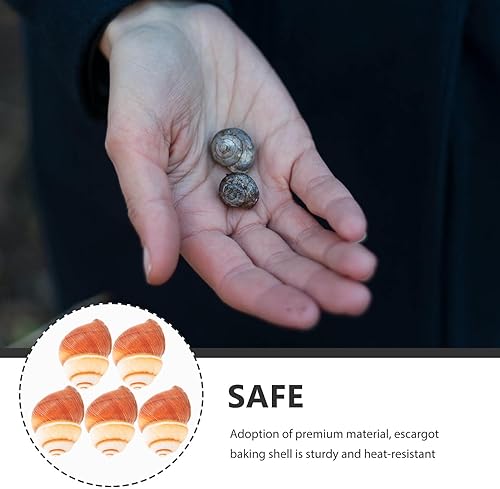 Miniatura 4 de Luxshiny 5 unidades de caracol grandes caracol Escargot caracol caracol decorativo caracol conchas vacías para cocinar la cena